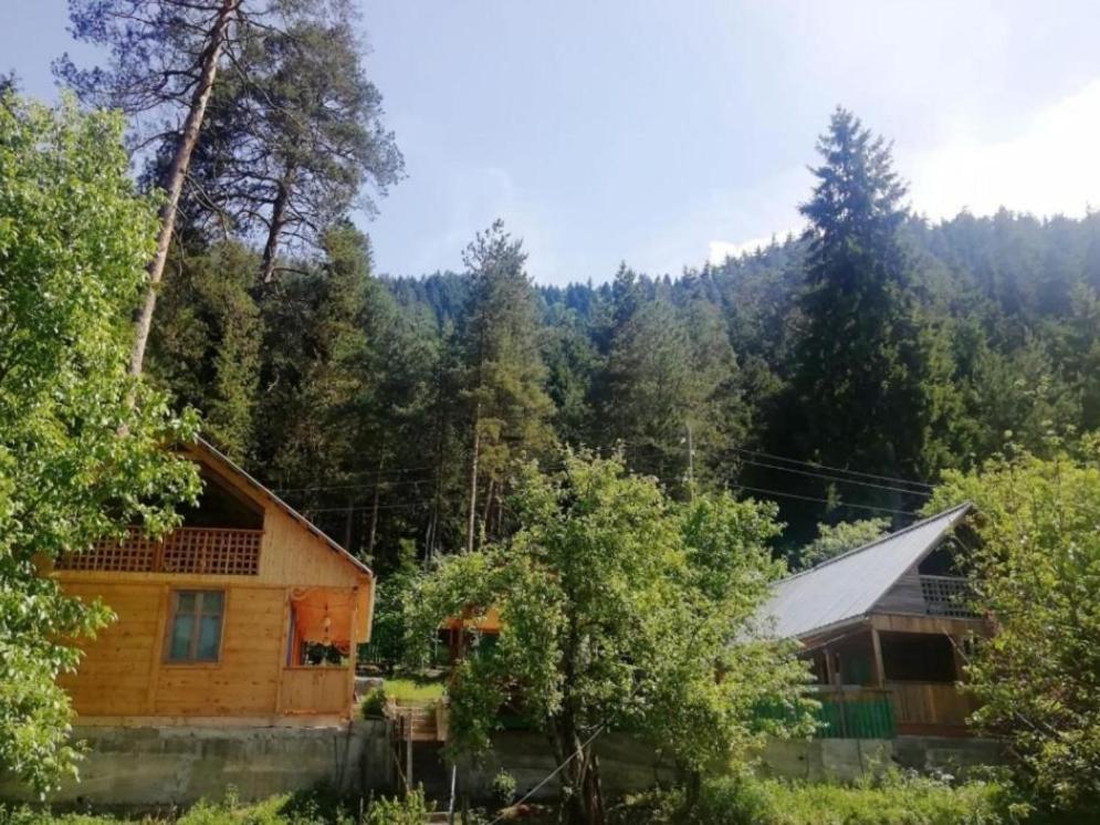 Guest House Ilia Borjomi Exterior foto