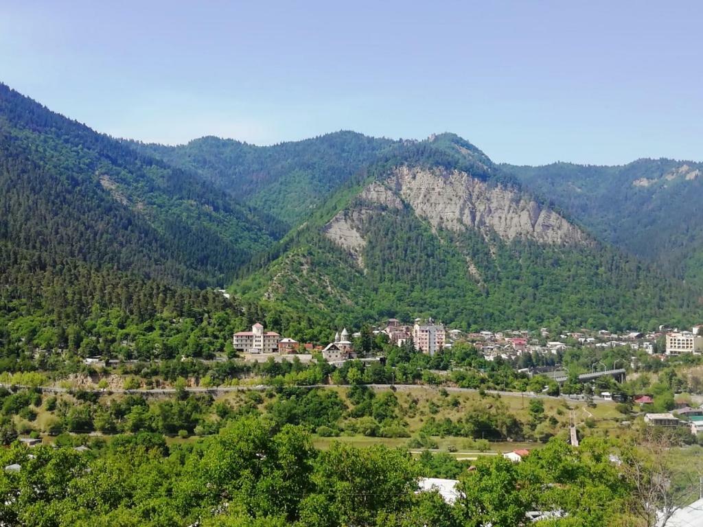 Guest House Ilia Borjomi Exterior foto