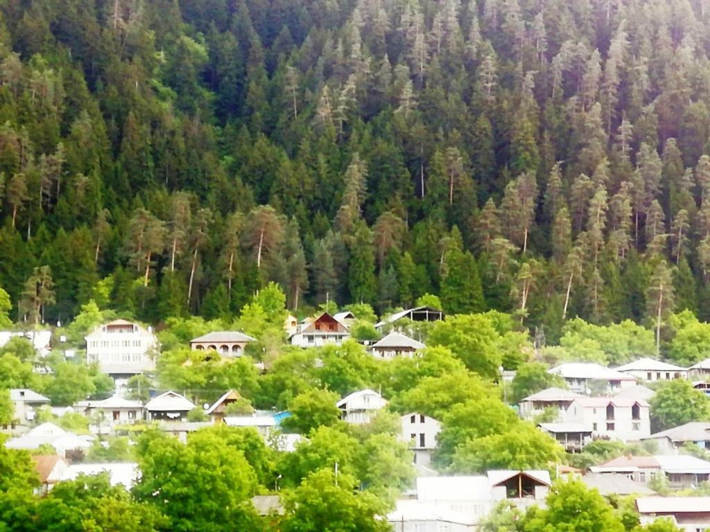 Guest House Ilia Borjomi Exterior foto