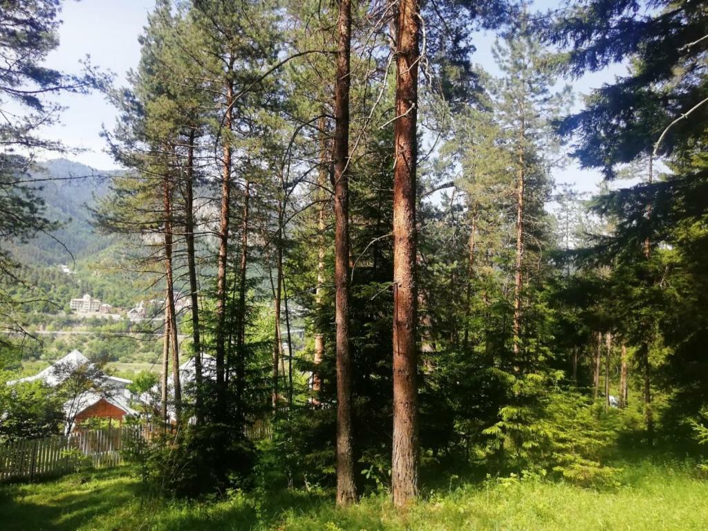 Guest House Ilia Borjomi Exterior foto